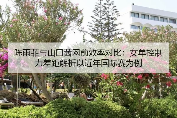 陈雨菲与山口茜网前效率对比：女单控制力差距解析以近年国际赛为例